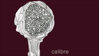 Calibre - No Stopping