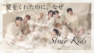 【日本語字幕】愛をくれたのに、なぜ / Stray Kids【FMV】