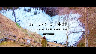 あしがくぼの氷柱｜DAY