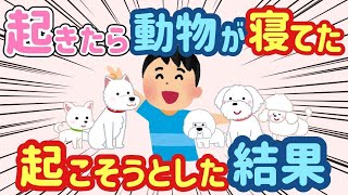 【2ch ほのぼの】なぜか飼ってないのに起きたら隣でかわいい動物が寝てた→起こそうとしたら   【総集編】