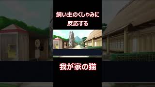 飼い主のくしゃみに反応する我が家の猫 #shorts #レトロゲーム #逆転裁判 #capcom #adventure #ゲーム実況 #猫 #ゲーム