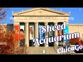 Shedd Aquarium Tour Chicago 2022