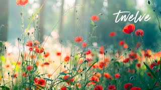 12 Hours of Relaxing Music - Piano Music for Stress Relief, Sleep Music, Meditation Music (Riley)