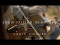 Snow Falling in Autumn - Chris Pilsner