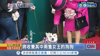 狗狗有新家了! 女王逝世獨留愛犬 安德魯王子宣布將接手照料│記者 黃瓊慧│【國際局勢】20220912│三立iNEWS