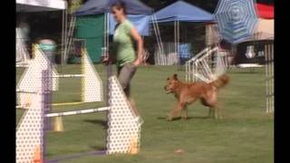 Mira Agility 8.21.11