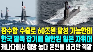 잠수함 수출로 60조원 달성 가능한데 한국 발목 잡기에 혈안된 일본 자위대 캐나다에서 훼방 놓다 본인들 비리만 적발