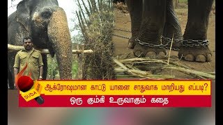 20  பேரை கொன்று குவித்த  மூர்த்தி யானை ! | அத்தியாயம் 6