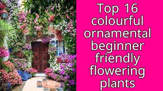 Top 16 colourful ornamental beginner friendly flowering plants #ornamentalplants #floweringplants