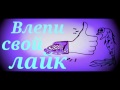 Аквариумные рыбки. Велифера Парусная. Моллинезия Зелёная.