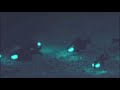 how to shine light on the ocean floor flashlight fish