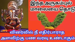 விரைவில் நீ எதிர்பாராத பணவரவு உண்டாகும்🌹/ உடனே கேள் நல்லது நடக்கும்/ Amman vakku/