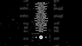 പാപ്പി അപ്പച്ചാ 🎶🎶🎶#trending #youtubeshorts