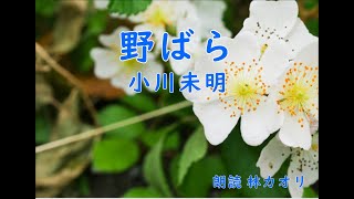 【朗読】『野ばら』小川未明（朗読 林カオリ）