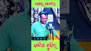 Mor Mangla Kania Tukil //Short// Dusimani Pradhani // DG Pradhanee #Kandhan_media