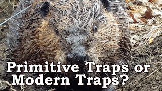 PRIMITIVE TRAPS ARE JUNK! | Primitive Trapping Vs. Modern Trapping | Who Wins?