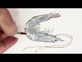 how to paint watercolor shrimp smell the ocean