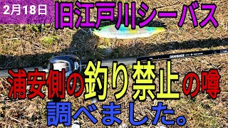 浦安側の釣り禁止の噂について。旧江戸川シーバス情報。サムネの内容は11:00からになります。