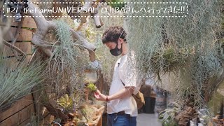 【植物vlog】ビカクシダ･アガベ･チランジア、珍しい植物ばかり！ the Farm UNIVERSAL CHIBAさんへ行ってきた‼︎