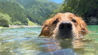 猛暑すぎる日は川遊びに限りますw