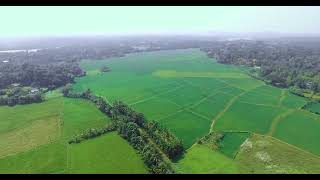 SHORANUR-KARAKKAD ROAD THOTUPALAM DRONE VIEW