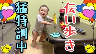 【伝い歩き】伝い歩きの猛特訓中！生後8ヶ月の赤ちゃん！Practice of walking!