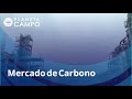 Mercado de Carbono: o que é e como os produtores podem se beneficiar | Planeta Campo - 13/09/2021