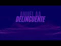 (Acapella) Tokischa x Anuel AA x Ñengo Flow - Delincuente