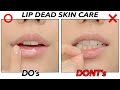 How to care of the dead skin on the lips? Chapped lip care / lip scrub