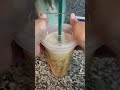 Healthy High Protein Vanilla Caramel Frappe NOT from Starbucks