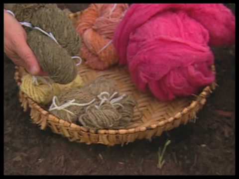 How To Make Dye From Plants How To Make Dye From Plants