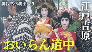 江戸吉原 おいらん道中  伝統の花魁道中がここ極まる /  奥浅草伝統まつり