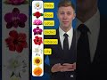 Flowers Vocabulary in English