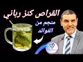 معجزة عشبة القراص للجنس والسرطان والقلب والشرايين وإرتفاع الضغط وتقوية المناعة dr mohamed faid