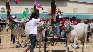 ពិធីប្រណាំងរទេះសាឡីគោលឿន ឆ្នាំ២០២៤