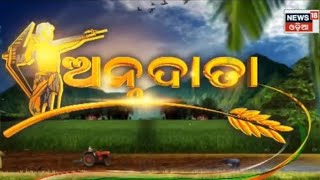 Annadata | Odisha Farming | Odia Latest News | 4th July 2023 | News18 Odia | Odia News