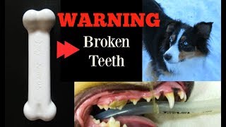 A Warning About Nylabone Power Chew Toys