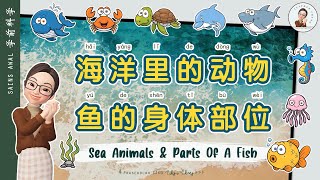 【跟着詹老师上学趣】学前科学 l 海洋里的动物 l 鱼的身体部位 l Sea Animals l Body Parts of Fish l 学前教育 l 快乐学习 l Prasekolah