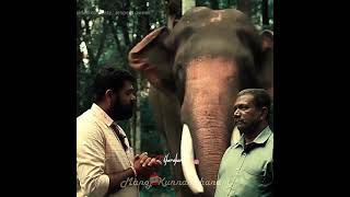 ⚜️കതിർവില്ലഴകൻ പാമ്പാടി രാജൻ⚜️🐘❤️❤️❤️✂️#pambadi_rajan #pambady_rajan