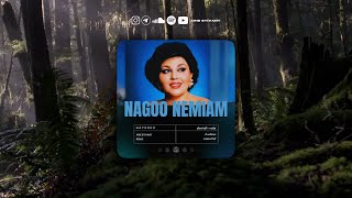 Hayedeh \u0026 Arie Stivant - Nagoo Nemiam (Arie Stivant Remix)