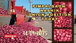 Nashik Onion Market Positions,  Rates and insights | GREEN SOURCE | 14-01-2025