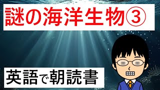 【ついに登場した、謎の海洋生物の正体とは!?】１日１段落！英語で朝読書【途中からでもOK！　朝じゃなくてもOK！】