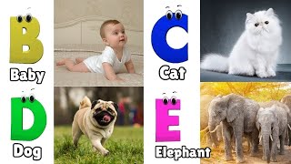 ABC phonics song for toddlers | a for apple | abc songs | nursery rhymes | alphabet song for toddler