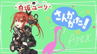 【参加型/Apex】みんなあそぼ～～！！初心者大歓迎☆　まったりカジュアル参加型だよ　 【白坂ユーリ/新人Vtuber】