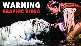 UNRELEASED Video of Siegfried and Roy Tiger Attack