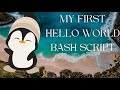 Our very first Hello World bash script