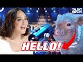 The Little Pig That Left the Judges Speechless! | Got Talent España