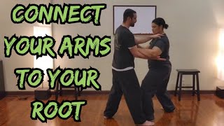 Correcting the Shoulders to Achieve Systemic Integrity in Tai Chi