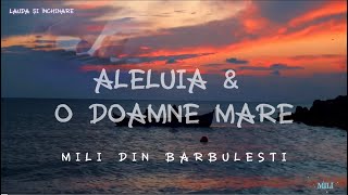 @MILIDINBARBULESTI - ALELUIA \u0026 O DOAMNE MARE - (Cover : Michael.W Smith \u0026 Carl Boberg )