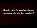 How to auto forward whatsapp messages to another number?